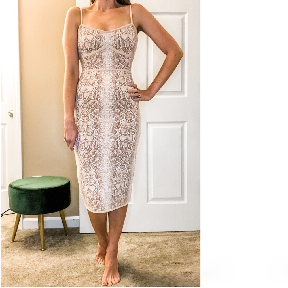 BCBG Python Bodycon Dress | Medium | NWT